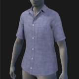 Button-Up, Short, Fitted