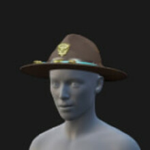 Campaign Hat, Highway Patrol