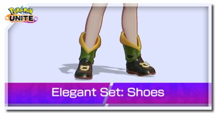 Elegant Set Shoes Banner.png