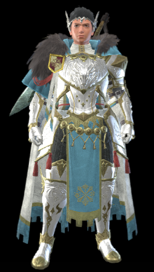 Guild Palace Layered Armor M