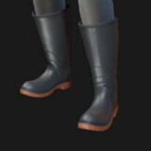 Boots, Wellingtons