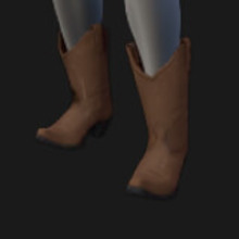 Boots, Cowboy, Light