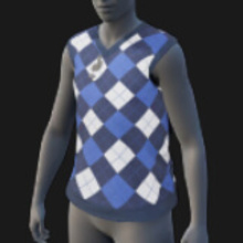 Sweater Vest, Argyle