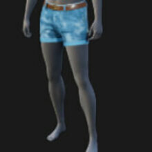 Shorts, Tight, Belted