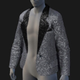 Blazer, Sequins