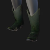 Boots, Cowboy, Crocodile