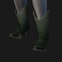 Boots, Cowboy, Crocodile