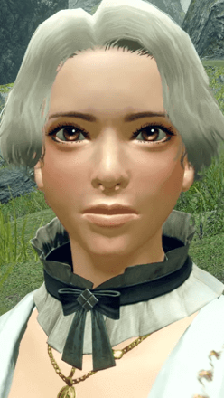 Frilled Choker Layered Armor F