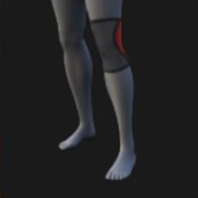 Knee Brace, Left