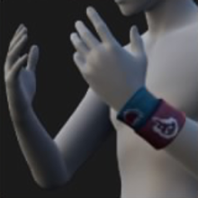 Wristband, Sports, Idols (Left)