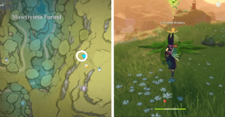 Genshin - Aranara #4