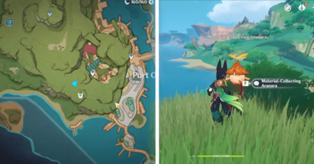 Genshin - Aranara #34