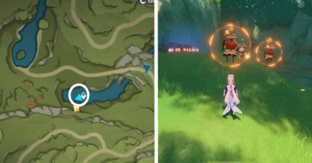 Genshin - Aranara #43