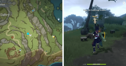 Genshin - Aranara #74