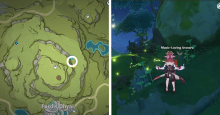 Genshin - Aranara #48