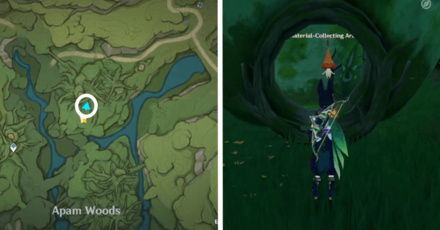 Genshin - Aranara #68