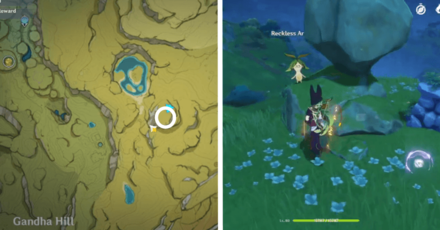 Genshin - Aranara #6