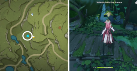 Genshin - Aranara #59