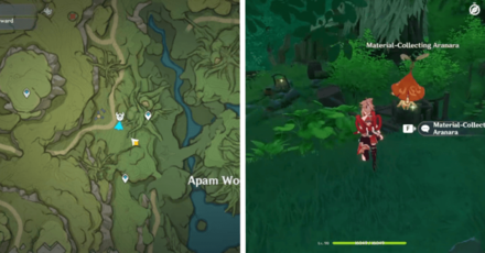 Genshin - Aranara #66