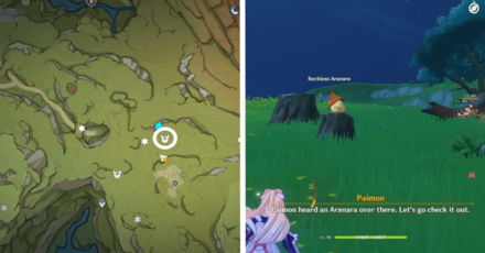 Genshin - Aranara #20