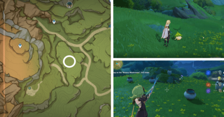 Genshin - Aranara #41