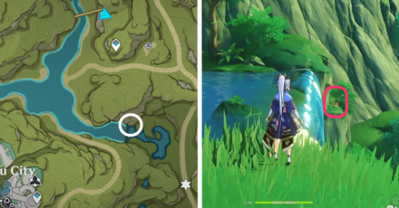 Genshin - Aranara #10