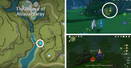 Genshin - Aranara #9