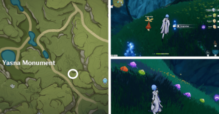 Genshin - Aranara #56