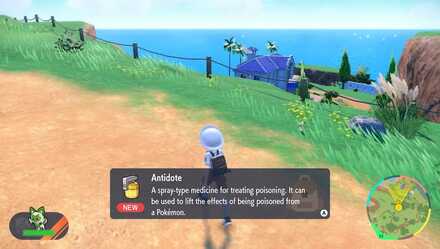 Pokemon Scarlet and Violet SV - Trainer finding Antidote