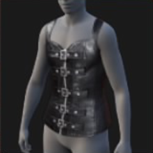 Corset, Leather
