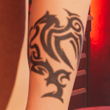 Eagle ＆ Snake with Tree