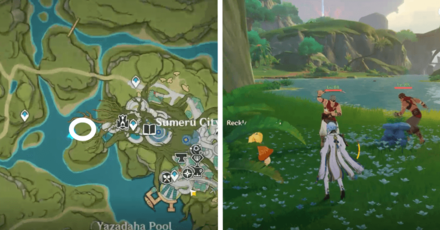 Genshin - Aranara #11