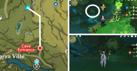 Genshin - Aranara #13