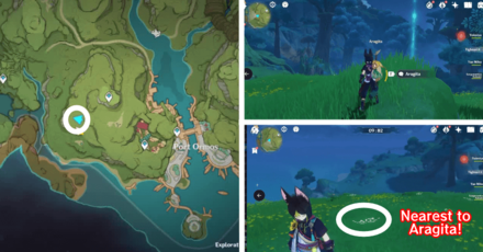 Genshin - Aranara #35