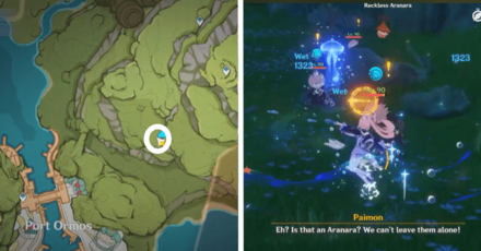 Genshin - Aranara #32