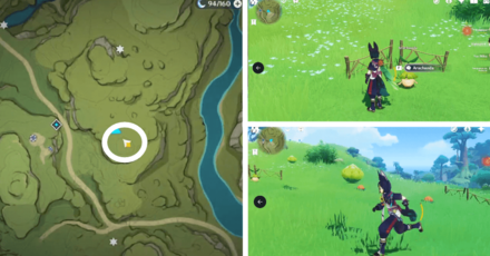 Genshin - Aranara #25