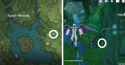 Genshin - Aranara #70