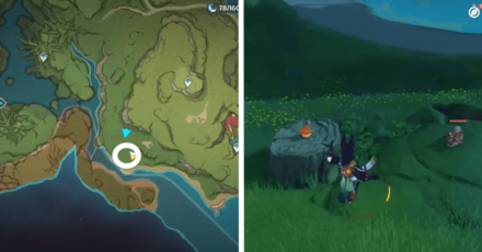 Genshin - Aranara #36