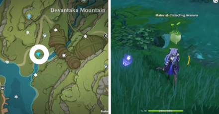 Genshin - Aranara #28