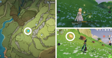 Genshin - Aranara #30