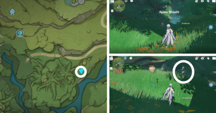 Genshin - Aranara #69