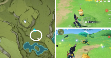 Genshin - Aranara #46