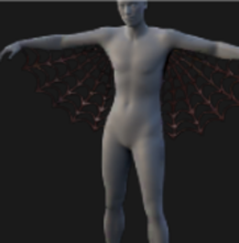 Spider Web Wings