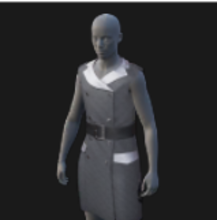 Dress, Executive, Sleeveless