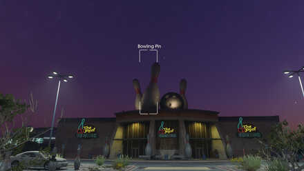 Bowling Pin - In-game View