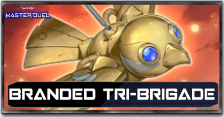 Branded Tri-Brigade Deck Top Image.png