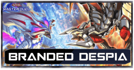 Branded Despia Top Image