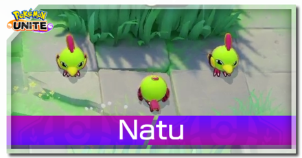Pokemon UNITE - Natu Banner