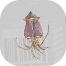 Splatoon 3 Sunken Scroll 21