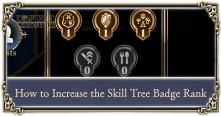 The DioField Chronicle - How to Increase Skill Rank Badge